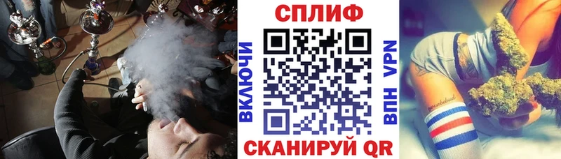 Магазины продажи наркотиков Новозыбков ГАШИШ  COCAIN  LSD-25  Канабис  Меф мяу мяу  Альфа ПВП 