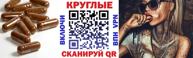 Ecstasy 99% Новозыбков