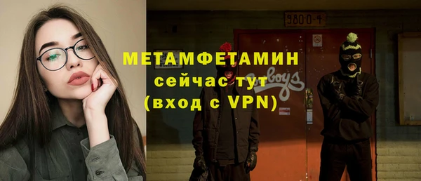 твердый Бородино