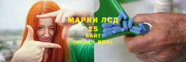 ГАЛЛЮЦИНОГЕННЫЕ ГРИБЫ Нея