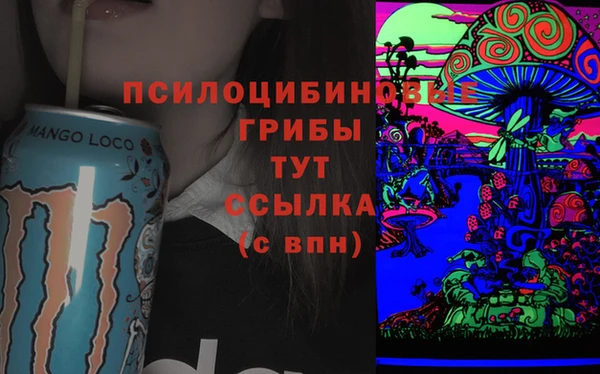 ГАЛЛЮЦИНОГЕННЫЕ ГРИБЫ Нея