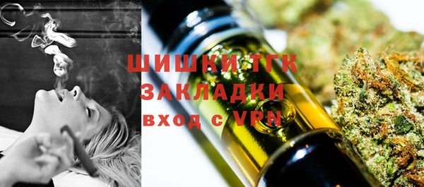 твердый Бородино