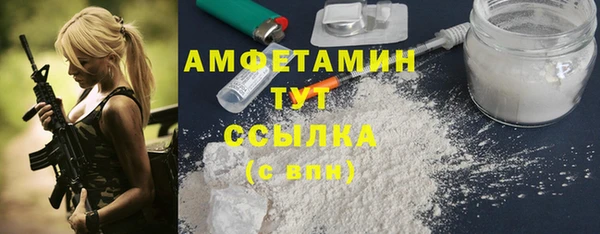 твердый Бородино