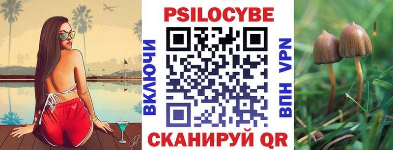 магазин продажи наркотиков Новозыбков Псилоцибиновые грибы мухоморы